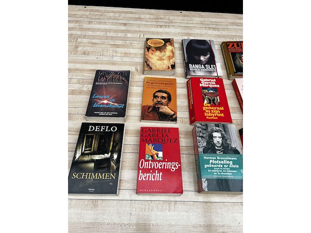 22 x leesboek - afbeelding 2 van  4