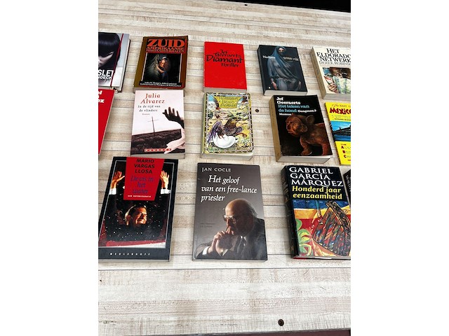 22 x leesboek - afbeelding 3 van  4