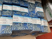 225 blisters schroeven - afbeelding 6 van  7