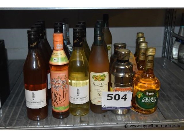 22x diverse flessen likeur en cocktailshaker, o.a. giffard, saint lery, bootz - afbeelding 1 van  3
