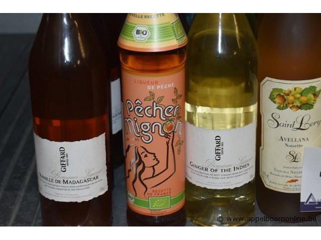 22x diverse flessen likeur en cocktailshaker, o.a. giffard, saint lery, bootz - afbeelding 2 van  3