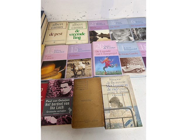23 boeken van bekende schrijvers - afbeelding 3 van  4