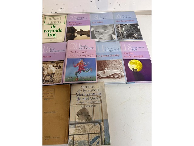 23 boeken van bekende schrijvers - afbeelding 4 van  4
