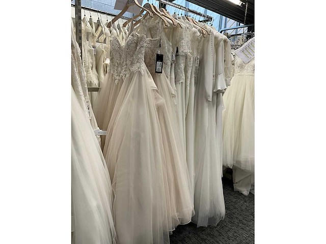 23 bruidsjurken rosa clara alma (totaalprijs) - afbeelding 12 van  48