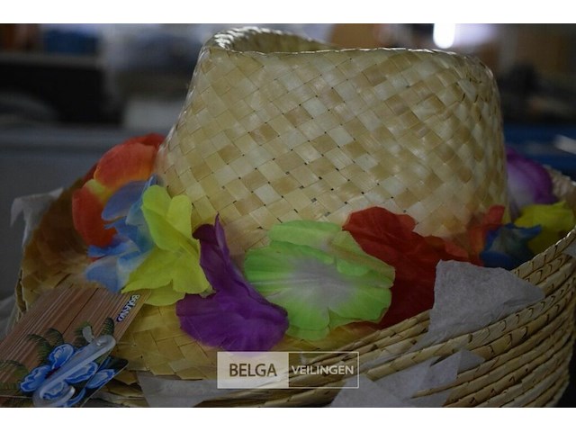 ±23 div verkleedhoeden - afbeelding 4 van  4