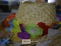 ±23 div verkleedhoeden - afbeelding 4 van  4