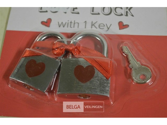 ±23 hartvormige sloten - afbeelding 5 van  5