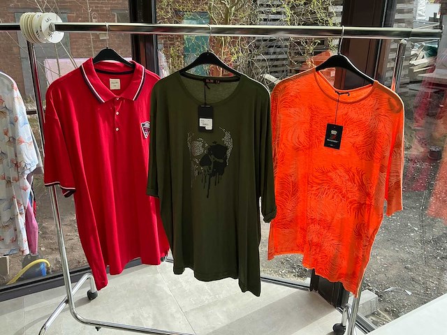 (234x) t-shirt & polo’s 2xl tot 10xl - afbeelding 2 van  5