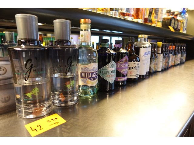 23x diverse flessen gin - afbeelding 1 van  4