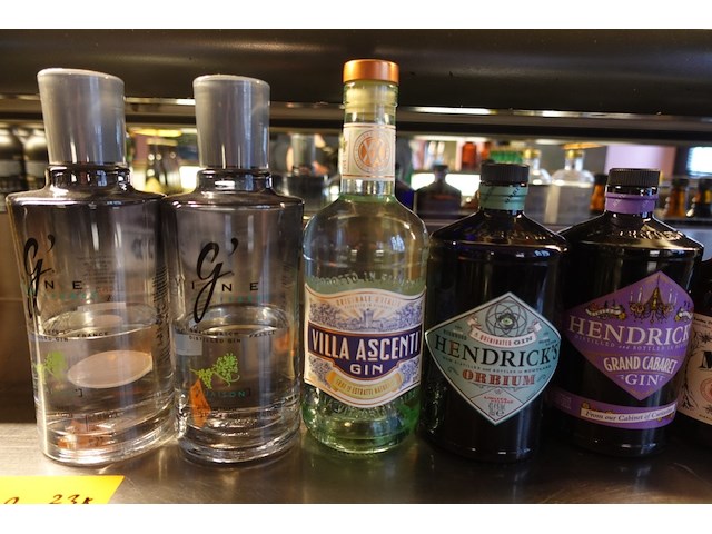 23x diverse flessen gin - afbeelding 2 van  4