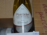 23x fles witte wijn, muscadet côtes de grandlieu, sur lie, 2016, 75cl - afbeelding 2 van  3