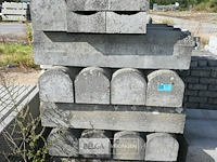 ± 24 biggenruggen - afbeelding 4 van  5