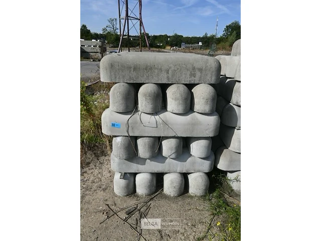 ± 24 biggenruggen - afbeelding 2 van  4