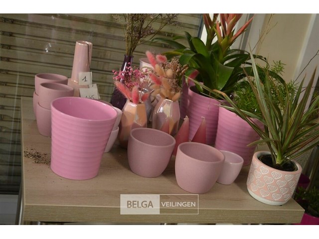 ±24 div roze bloempotten - afbeelding 2 van  5