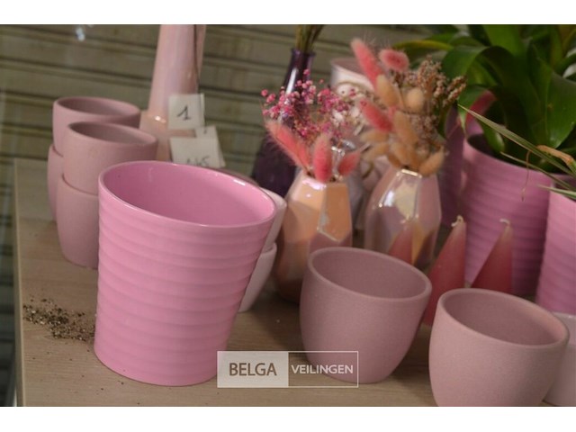 ±24 div roze bloempotten - afbeelding 3 van  5