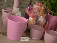 ±24 div roze bloempotten - afbeelding 3 van  5