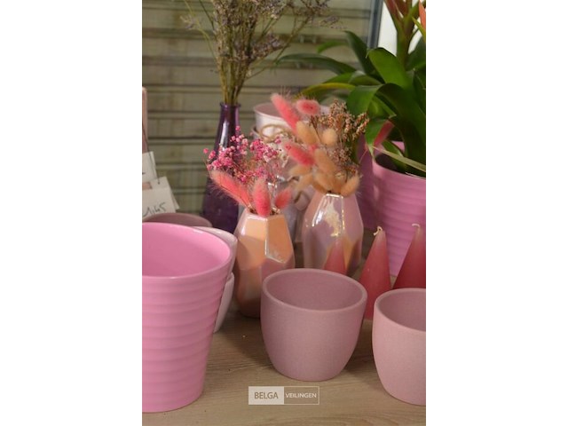 ±24 div roze bloempotten - afbeelding 5 van  5