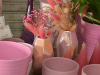 ±24 div roze bloempotten - afbeelding 5 van  5