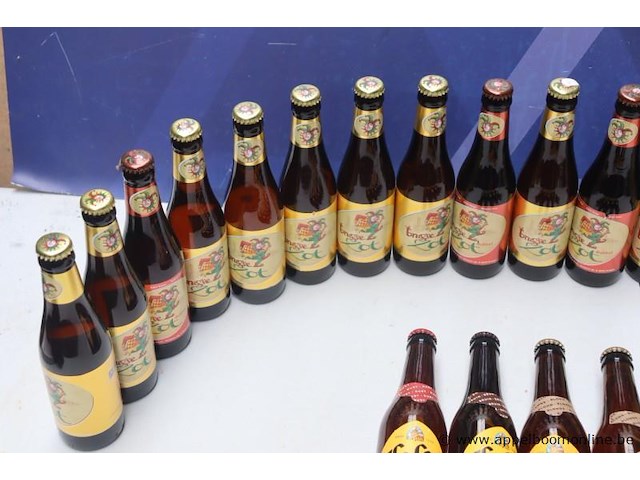 24 flesjes brygse zot en leffe - afbeelding 2 van  4