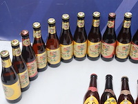 24 flesjes brygse zot en leffe - afbeelding 2 van  4