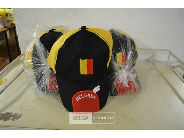 24 petten belgie - afbeelding 1 van  2
