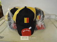 24 petten belgie - afbeelding 1 van  2