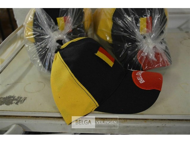 24 petten belgie - afbeelding 2 van  2