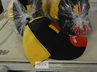 24 petten belgie - afbeelding 2 van  2