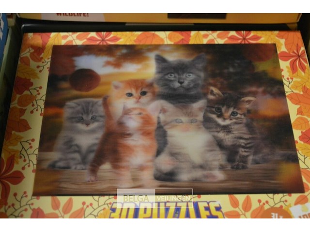 24 puzzels 3d - afbeelding 4 van  5