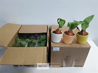 24 x kunstplant in potje - afbeelding 1 van  3