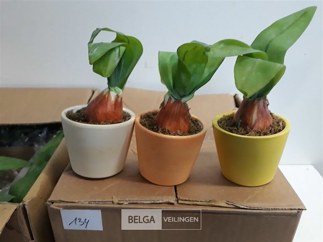 24 x kunstsplant in potje - afbeelding 3 van  3