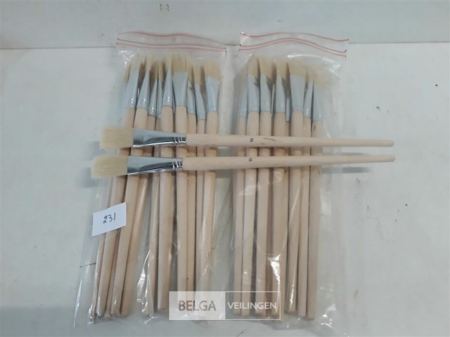 24 x penselen plat nr 18 - afbeelding 1 van  3
