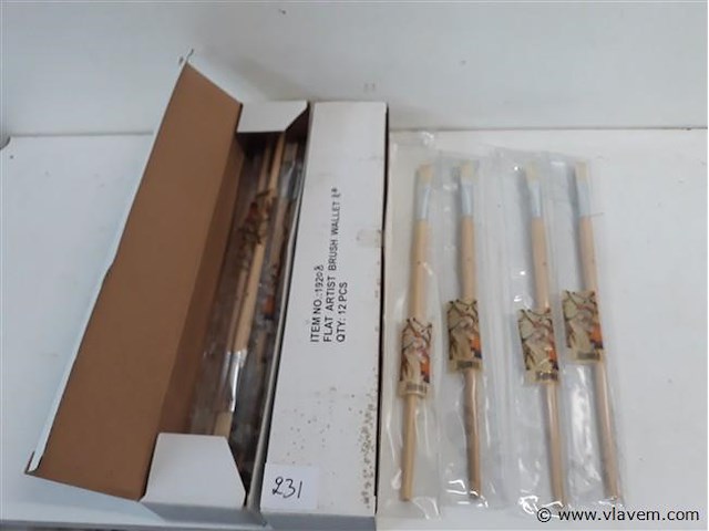24 x penselen plat nr 8 - afbeelding 1 van  2