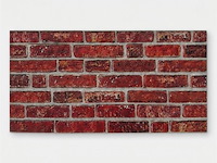 24m² stratford betonlook - afbeelding 1 van  2