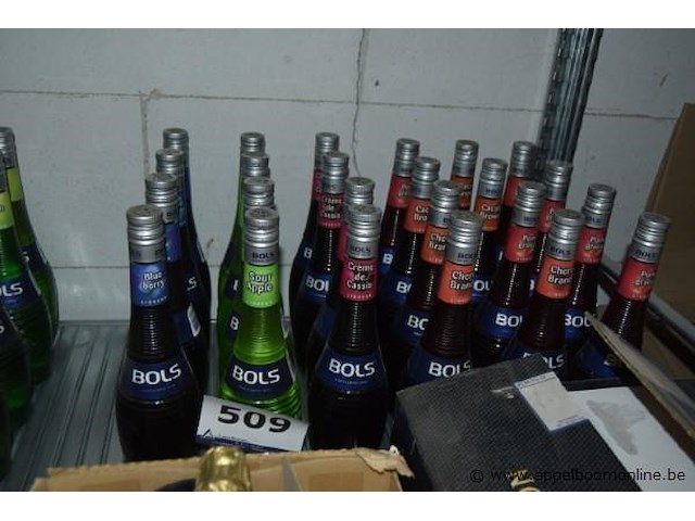 24x fles likeur, bols, diverse smaken - afbeelding 1 van  2