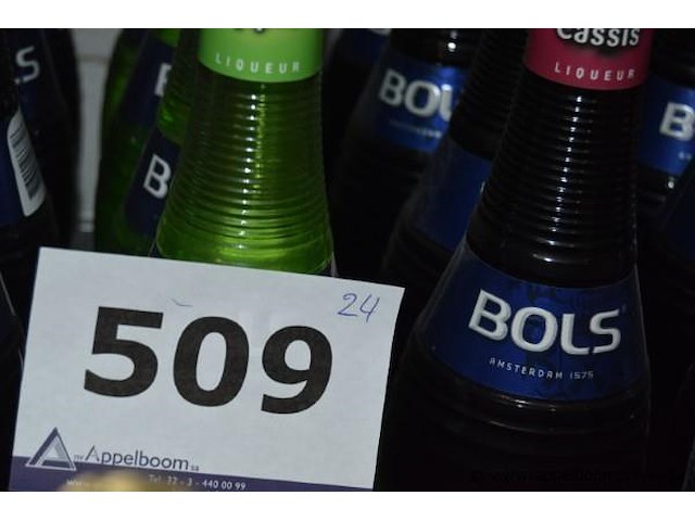 24x fles likeur, bols, diverse smaken - afbeelding 2 van  2