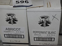 24x fles likeur, onbekend, wo. abricot en peppermint blanc, 70cl, 24-25%vol. - afbeelding 2 van  2