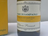 (24x) fles(sen) terre die sampaolo 75 - afbeelding 3 van  7