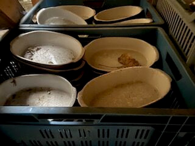 25 bakken met diverse patepotten - afbeelding 1 van  5