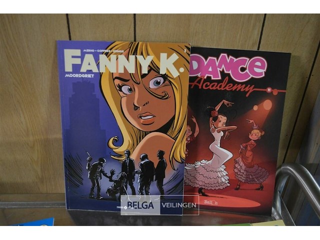 ±25 div stripverhalen varia - afbeelding 9 van  12