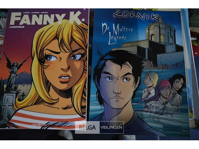 ±25 div stripverhalen varia - afbeelding 12 van  12