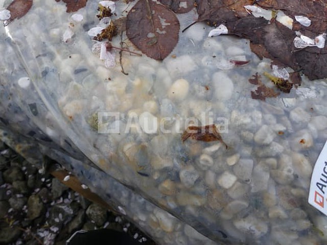 25 diverse grindzakken - afbeelding 4 van  7