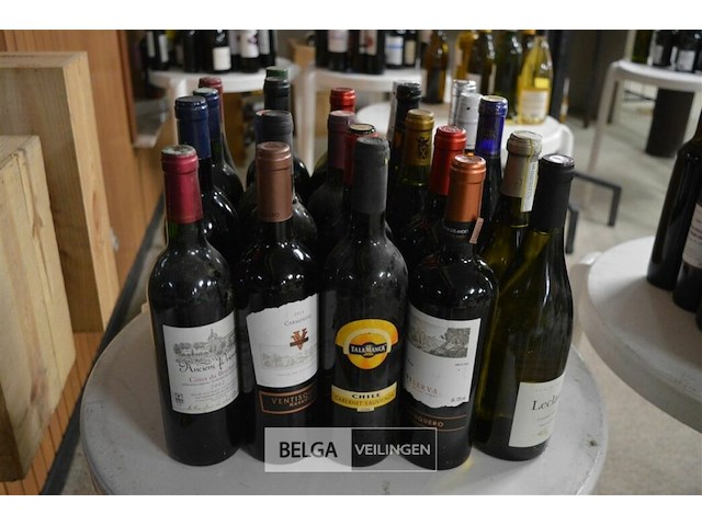 ±25 flessen diverse wijnsoorten - afbeelding 1 van  4