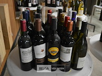 ±25 flessen diverse wijnsoorten - afbeelding 1 van  4