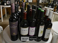 ±25 flessen diverse wijnsoorten - afbeelding 1 van  4