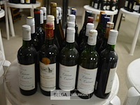 ±25 flessen diverse wijnsoorten - afbeelding 1 van  4