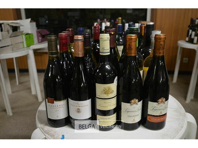 ±25 flessen diverse wijnsoorten - afbeelding 1 van  5