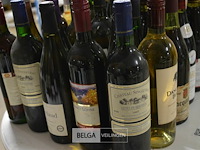 ±25 flessen diverse wijnsoorten - afbeelding 5 van  5