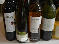 ±25 flessen diverse wijnsoorten - afbeelding 2 van  5