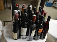 ±25 flessen diverse wijnsoorten - afbeelding 1 van  5